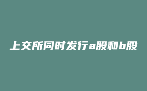 上交所同时发行a股和b股的公司有哪些