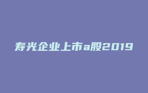 寿光企业上市a股2019