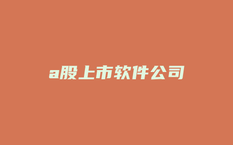 a股上市软件公司