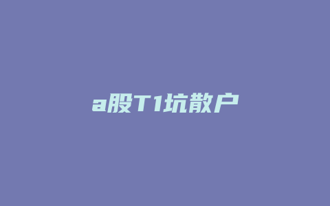 a股T1坑散户