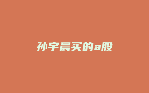 孙宇晨买的a股