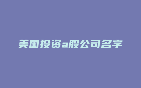 美国投资a股公司名字