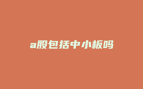 a股包括中小板吗